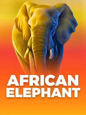 Elefante Africano